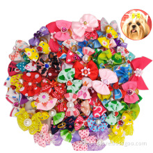 Colors Cat Dog Pet Head Flower Bow